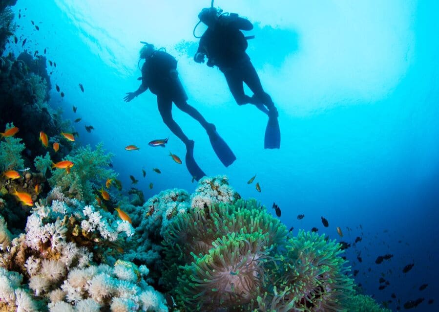 Snorkel en Varadero