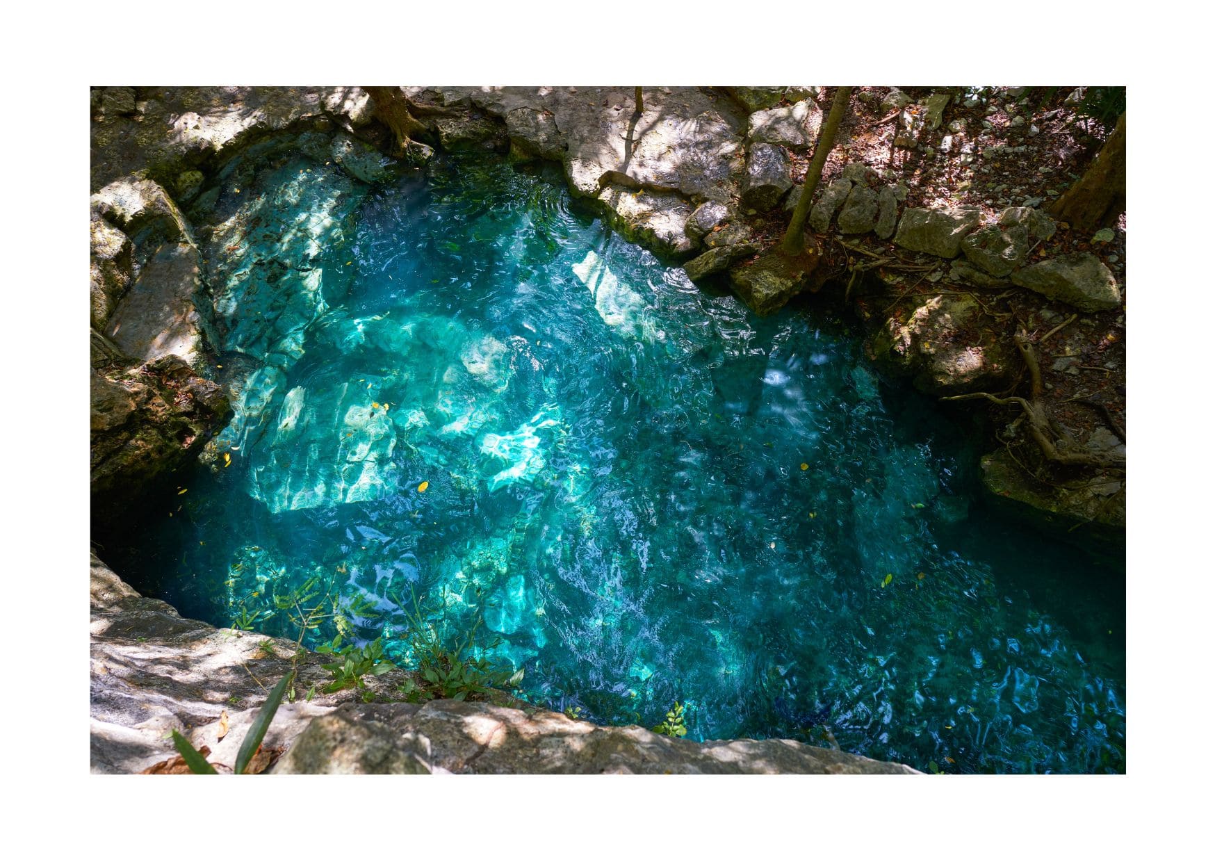 Cenotes