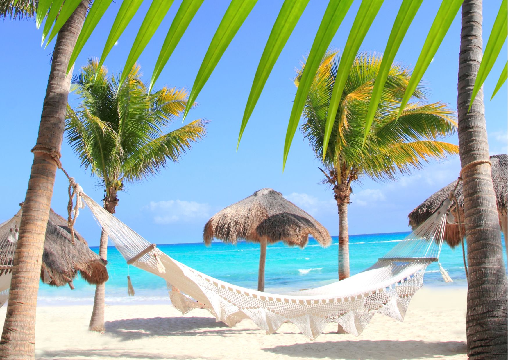 Donde viajar en noviembre 1
