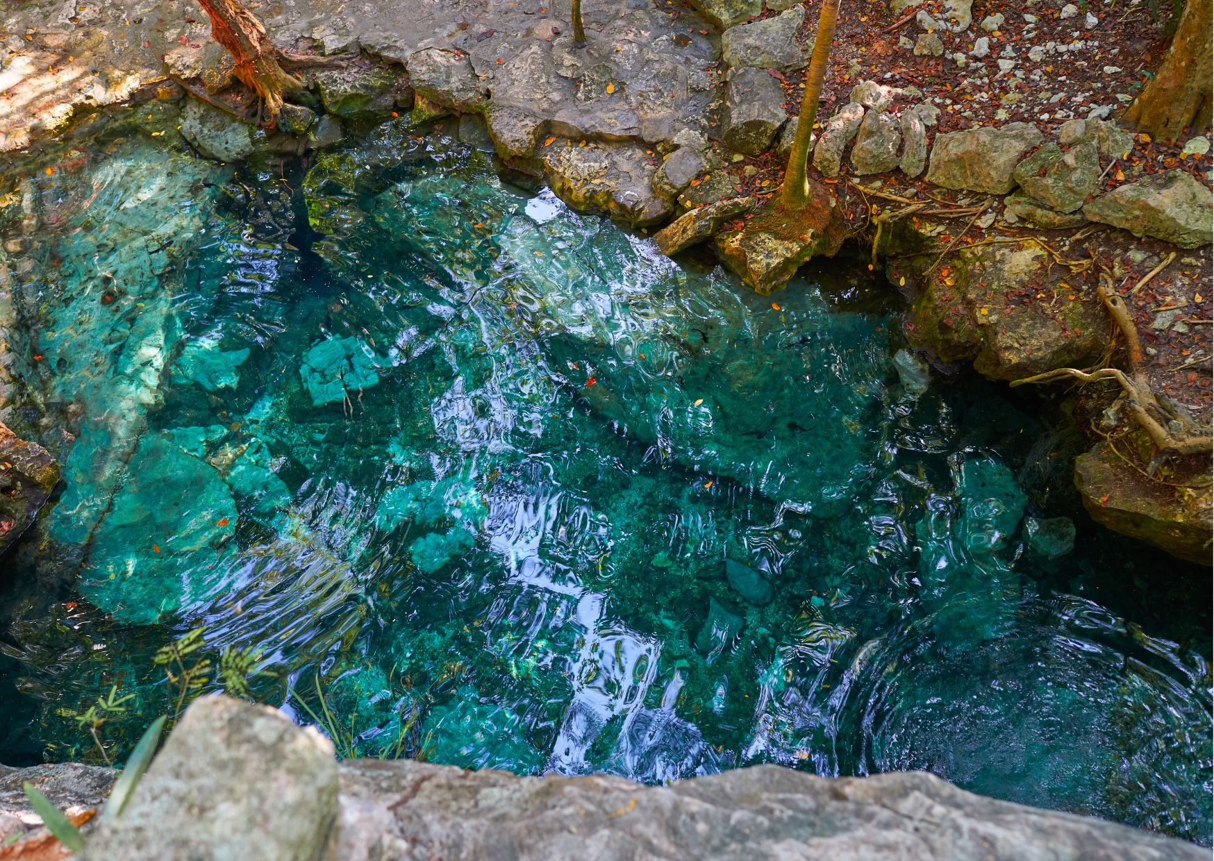 Riviera Maya o Punta Cana - 1