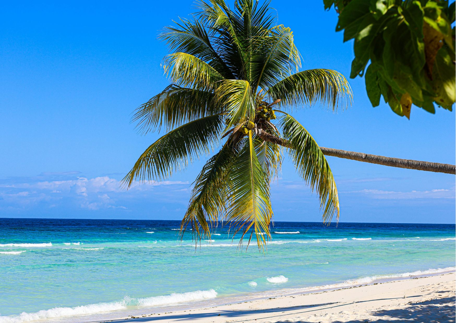 Curiosidades de Jamaica - 1