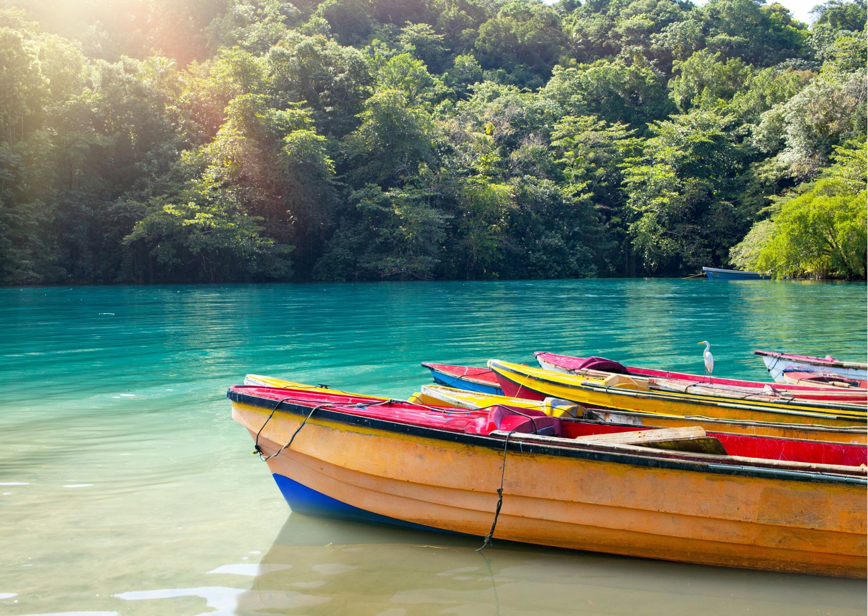 Curiosidades de Jamaica - 2