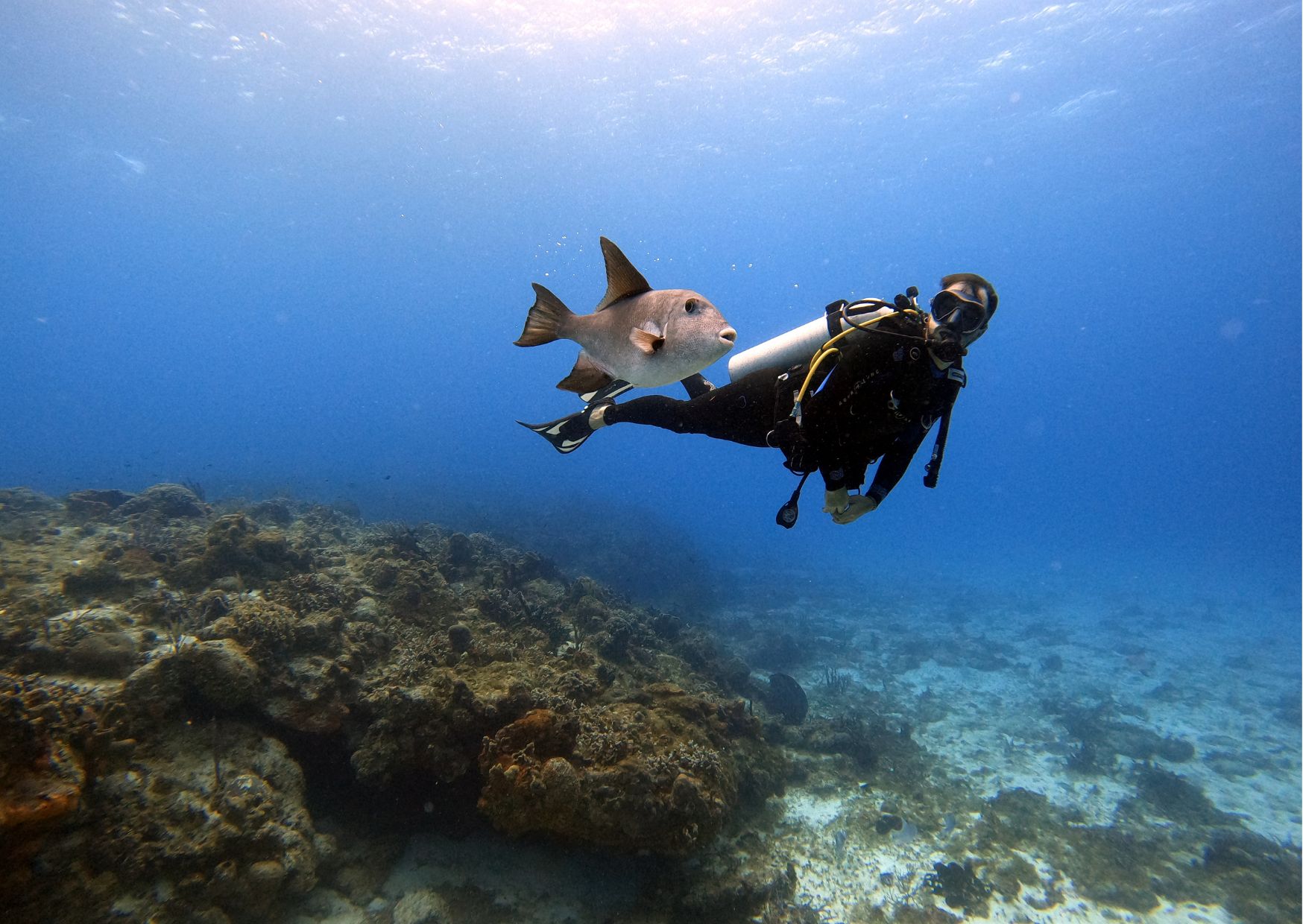 Los mejores lugares para practicar snorkel y buceo en el Caribe