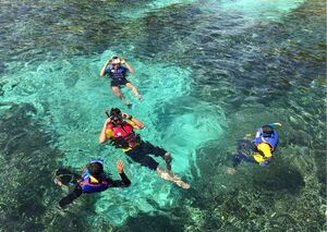 Los mejores lugares para practicar snorkel y buceo en el Caribe - Portada