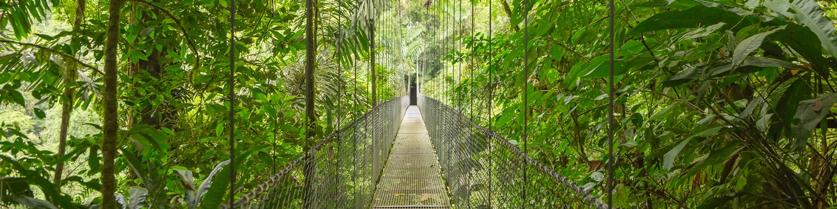https://tumaletaalcaribe.com/viajes/assets/upload/c3.webp