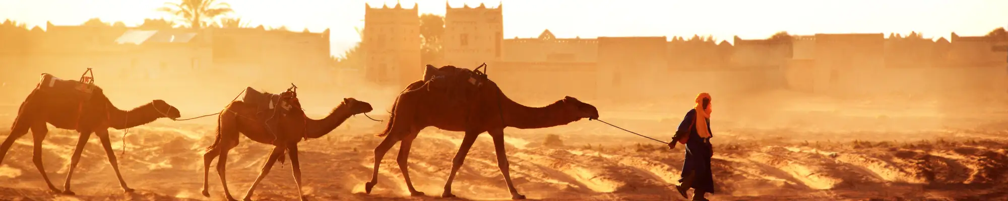 https://tumaletaalcaribe.com/viajes/assets/upload/d1075.webp