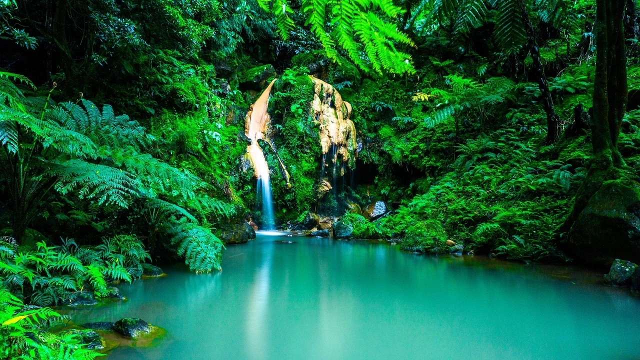 https://tumaletaalcaribe.com/viajes/assets/upload/d1855.webp