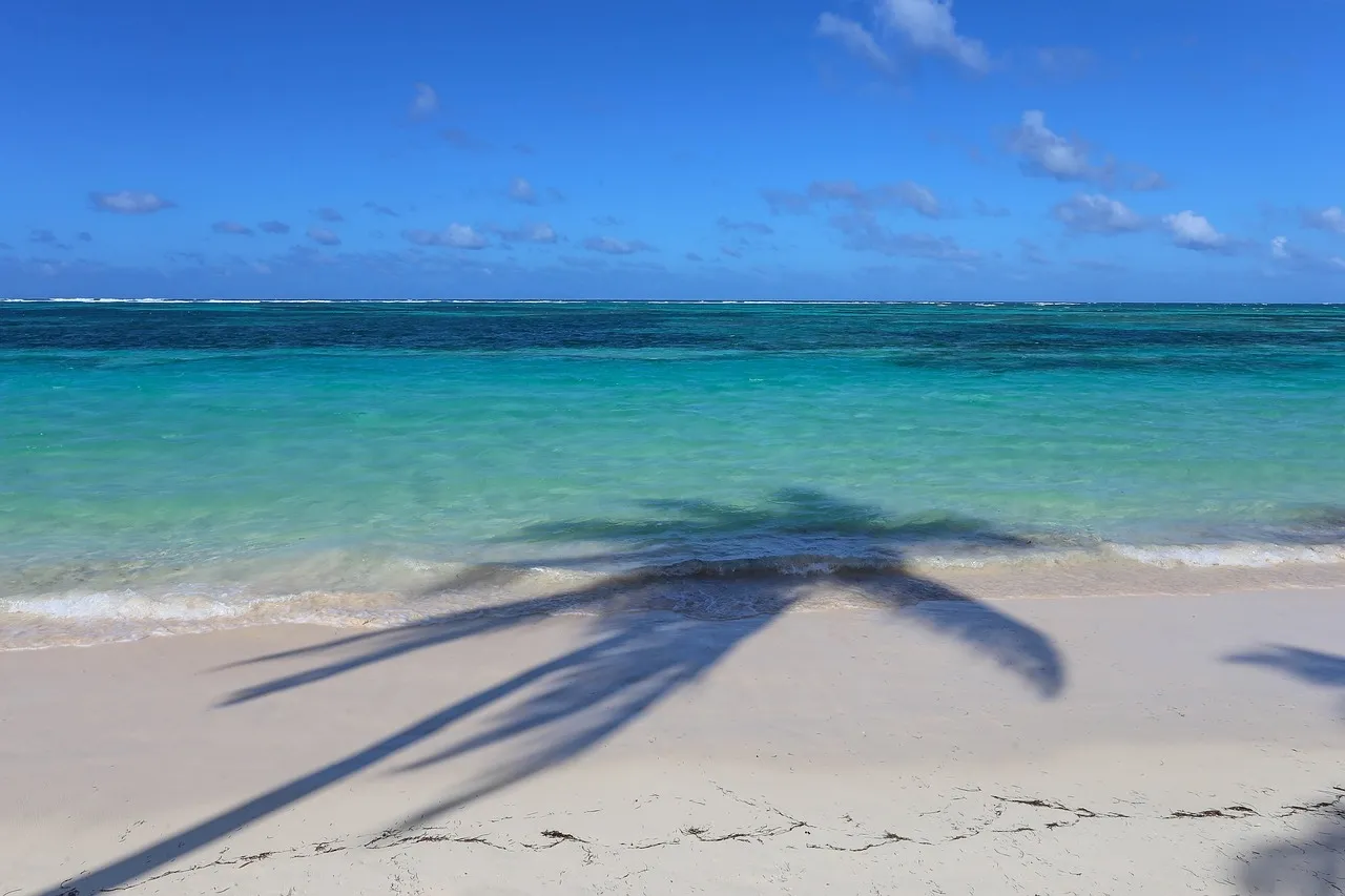 Paisaje tropical de Samaná en República Dominicana